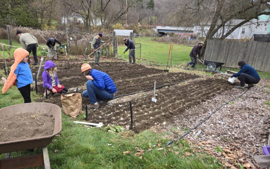 Planting Garlic, Seeding the Future