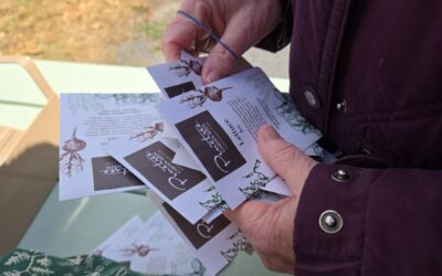 Early Planting: A New Season Begins