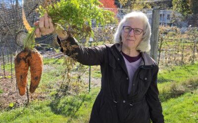 Gardeners Share: Why Join a Community Garden
