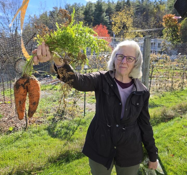 Gardeners Share: Why Join a Community Garden