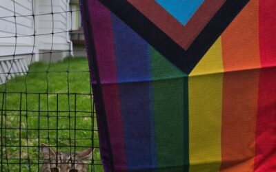 Happy Pride!