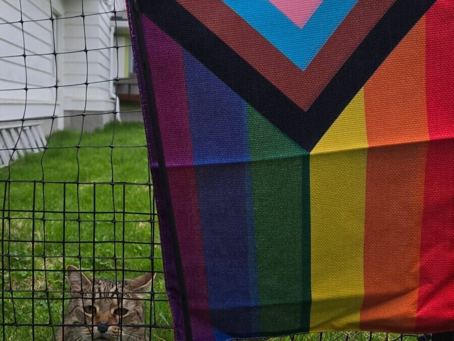 Happy Pride!