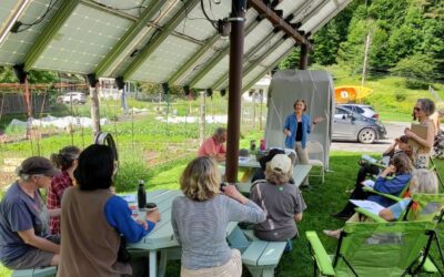 Tick Talk: Scary Facts, Practical Prevention & Solutions